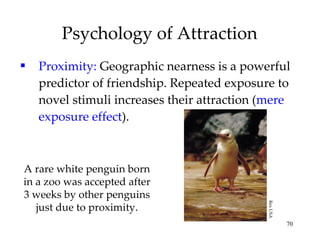 Psychology of Attraction Proximity:  Geographic nearness is a powerful predictor of friendship. Repeated exposure to novel stimuli increases their attraction ( mere exposure effect ). A rare white penguin born in a zoo was accepted after 3 weeks by other penguins just due to proximity. Rex USA 