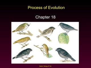 Process of Evolution Chapter 18 