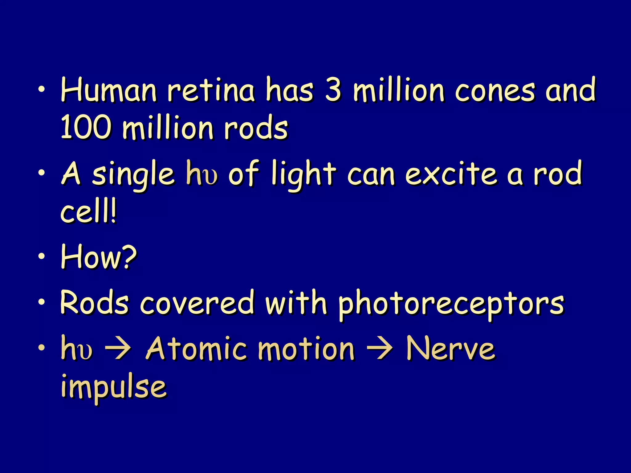 • Human retina has 3 million cones andHuman retina has 3 million cones and
100 million rods100 million rods
• A singleA single hhυυ of light can excite a rodof light can excite a rod
cell!cell!
• How?How?
• Rods covered with photoreceptorsRods covered with photoreceptors
• hhυυ  Atomic motionAtomic motion  NerveNerve
impulseimpulse
 