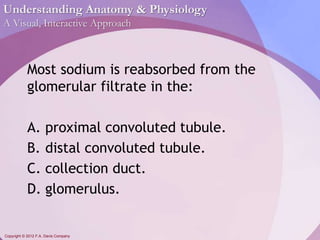 Understanding Anatomy & Physiology 
A Visual, Interactive Approach 
Most sodium is reabsorbed from the 
glomerular filtrate in the: 
A. proximal convoluted tubule. 
B. distal convoluted tubule. 
C. collection duct. 
D. glomerulus. 
Copyright © 2012 F.A. Davis Company 
 