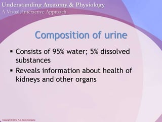 Understanding Anatomy & Physiology 
A Visual, Interactive Approach 
Composition of urine 
 Consists of 95% water; 5% dissolved 
substances 
 Reveals information about health of 
kidneys and other organs 
Copyright © 2012 F.A. Davis Company 
 