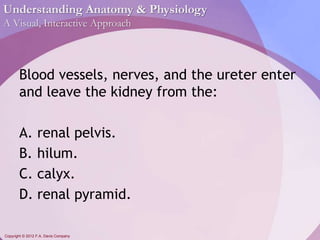 Understanding Anatomy & Physiology 
A Visual, Interactive Approach 
Blood vessels, nerves, and the ureter enter 
and leave the kidney from the: 
A. renal pelvis. 
B. hilum. 
C. calyx. 
D. renal pyramid. 
Copyright © 2012 F.A. Davis Company 
 