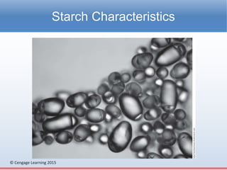 Chapter 18 - Starches and Sauces | PPTX