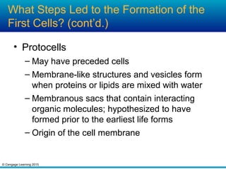 © Cengage Learning 2015
What Steps Led to the Formation of the
First Cells? (cont’d.)
• Protocells
– May have preceded cells
– Membrane-like structures and vesicles form
when proteins or lipids are mixed with water
– Membranous sacs that contain interacting
organic molecules; hypothesized to have
formed prior to the earliest life forms
– Origin of the cell membrane
 