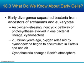 © Cengage Learning 2015
18.3 What Do We Know About Early Cells?
• Early divergence separated bacteria from
ancestors of archaeans and eukaryotes
– An oxygen-releasing, noncyclic pathway of
photosynthesis evolved in one bacterial
lineage, cyanobacteria
– 2.5 billion years ago, oxygen released by
cyanobacteria began to accumulate in Earth’s
sea and air
– Cyanobacteria changed Earth’s atmosphere
 