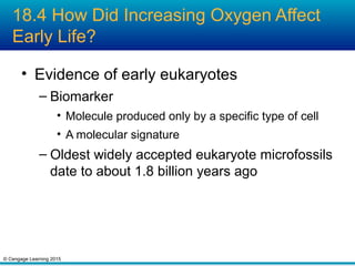 © Cengage Learning 2015
18.4 How Did Increasing Oxygen Affect
Early Life?
• Evidence of early eukaryotes
– Biomarker
• Molecule produced only by a specific type of cell
• A molecular signature
– Oldest widely accepted eukaryote microfossils
date to about 1.8 billion years ago
 