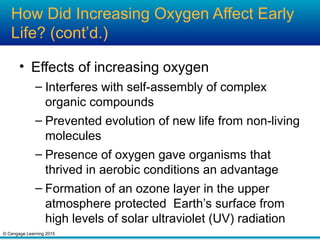 © Cengage Learning 2015
How Did Increasing Oxygen Affect Early
Life? (cont’d.)
• Effects of increasing oxygen
– Interferes with self-assembly of complex
organic compounds
– Prevented evolution of new life from non-living
molecules
– Presence of oxygen gave organisms that
thrived in aerobic conditions an advantage
– Formation of an ozone layer in the upper
atmosphere protected Earth’s surface from
high levels of solar ultraviolet (UV) radiation
 