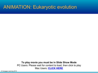 © Cengage Learning 2015
ANIMATION: Eukaryotic evolution
To play movie you must be in Slide Show Mode
PC Users: Please wait for content to load, then click to play
Mac Users: CLICK HERE
 