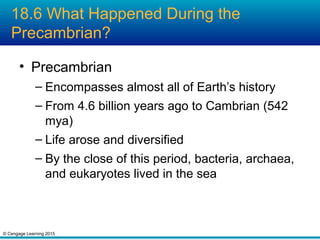 © Cengage Learning 2015
18.6 What Happened During the
Precambrian?
• Precambrian
– Encompasses almost all of Earth’s history
– From 4.6 billion years ago to Cambrian (542
mya)
– Life arose and diversified
– By the close of this period, bacteria, archaea,
and eukaryotes lived in the sea
 