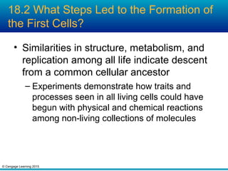 © Cengage Learning 2015
18.2 What Steps Led to the Formation of
the First Cells?
• Similarities in structure, metabolism, and
replication among all life indicate descent
from a common cellular ancestor
– Experiments demonstrate how traits and
processes seen in all living cells could have
begun with physical and chemical reactions
among non-living collections of molecules
 