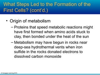 © Cengage Learning 2015
What Steps Led to the Formation of the
First Cells? (cont’d.)
• Origin of metabolism
– Proteins that speed metabolic reactions might
have first formed when amino acids stuck to
clay, then bonded under the heat of the sun
– Metabolism may have begun in rocks near
deep-sea hydrothermal vents when iron
sulfide in the rocks donated electrons to
dissolved carbon monoxide
 