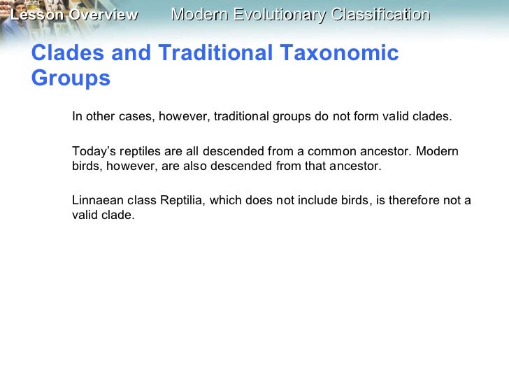 class reptilia and clade reptilia venn diagram magdalene use the venn diagram to compare and contrast the definitions of the linnaean class