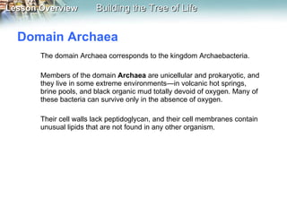 Domain Archaea  The domain Archaea corresponds to the kingdom Archaebacteria. Members of the domain  Archaea  are unicellular and prokaryotic, and they live in some extreme environments—in volcanic hot springs, brine pools, and black organic mud totally devoid of oxygen. Many of these bacteria can survive only in the absence of oxygen. Their cell walls lack peptidoglycan, and their cell membranes contain unusual lipids that are not found in any other organism.  
