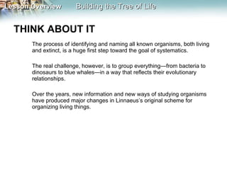 THINK ABOUT IT  The process of identifying and naming all known organisms, both living and extinct, is a huge first step toward the goal of systematics.  The real challenge, however, is to group everything—from bacteria to dinosaurs to blue whales—in a way that reflects their evolutionary relationships.  Over the years, new information and new ways of studying organisms have produced major changes in Linnaeus’s original scheme for organizing living things. 
