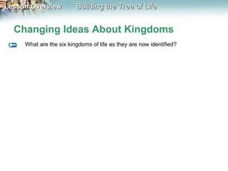 Changing Ideas About Kingdoms What are the six kingdoms of life as they are now identified? 