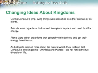 Changing Ideas About Kingdoms During Linnaeus’s time, living things were classified as either animals or as plants.  Animals were organisms that moved from place to place and used food for energy.  Plants were green organisms that generally did not move and got their energy from the sun. As biologists learned more about the natural world, they realized that Linnaeus’s two kingdoms—Animalia and Plantae—did not reflect the full diversity of life.  