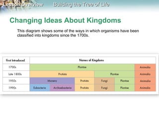 Changing Ideas About Kingdoms This diagram shows some of the ways in which organisms have been classified into kingdoms since the 1700s. 