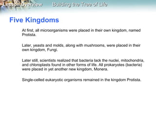 Five Kingdoms  At first, all microorganisms were placed in their own kingdom, named Protista.  Later, yeasts and molds, along with mushrooms, were placed in their own kingdom, Fungi. Later still, scientists realized that bacteria lack the nuclei, mitochondria, and chloroplasts found in other forms of life. All prokaryotes (bacteria) were placed in yet another new kingdom, Monera.  Single-celled eukaryotic organisms remained in the kingdom Protista.  
