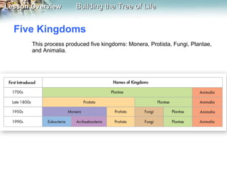 Five Kingdoms  This process produced five kingdoms: Monera, Protista, Fungi, Plantae, and Animalia. 