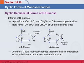 CARBOHYDRATES.ppt