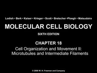 MOLECULAR CELL BIOLOGY
SIXTH EDITION
Copyright 2008 © W. H. Freeman and Company
CHAPTER 18
Cell Organization and Movement II:
Microtubules and Intermediate Filaments
Lodish • Berk • Kaiser • Krieger • Scott • Bretscher •Ploegh • Matsudaira
© 2008 W. H. Freeman and Company
 