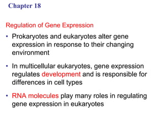 Chapter 18
Regulation of Gene Expression
• Prokaryotes and eukaryotes alter gene
expression in response to their changing
environment
• In multicellular eukaryotes, gene expression
regulates development and is responsible for
differences in cell types
• RNA molecules play many roles in regulating
gene expression in eukaryotes
 