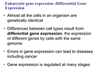 Eukaryotic gene expression :Differential Gene
Expression
• Almost all the cells in an organism are
genetically identical
• Differences between cell types result from
differential gene expression, the expression
of different genes by cells with the same
genome
• Errors in gene expression can lead to diseases
including cancer
• Gene expression is regulated at many stages
 