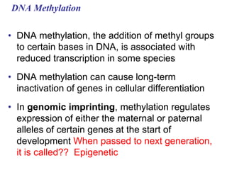 DNA Methylation
• DNA methylation, the addition of methyl groups
to certain bases in DNA, is associated with
reduced transcription in some species
• DNA methylation can cause long-term
inactivation of genes in cellular differentiation
• In genomic imprinting, methylation regulates
expression of either the maternal or paternal
alleles of certain genes at the start of
development When passed to next generation,
it is called?? Epigenetic
 