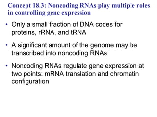 Concept 18.3: Noncoding RNAs play multiple roles
in controlling gene expression
• Only a small fraction of DNA codes for
proteins, rRNA, and tRNA
• A significant amount of the genome may be
transcribed into noncoding RNAs
• Noncoding RNAs regulate gene expression at
two points: mRNA translation and chromatin
configuration
 