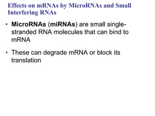 Effects on mRNAs by MicroRNAs and Small
Interfering RNAs
• MicroRNAs (miRNAs) are small single-
stranded RNA molecules that can bind to
mRNA
• These can degrade mRNA or block its
translation
 