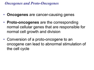 Oncogenes and Proto-Oncogenes
• Oncogenes are cancer-causing genes
• Proto-oncogenes are the corresponding
normal cellular genes that are responsible for
normal cell growth and division
• Conversion of a proto-oncogene to an
oncogene can lead to abnormal stimulation of
the cell cycle
 
