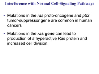 Interference with Normal Cell-Signaling Pathways
• Mutations in the ras proto-oncogene and p53
tumor-suppressor gene are common in human
cancers
• Mutations in the ras gene can lead to
production of a hyperactive Ras protein and
increased cell division
 