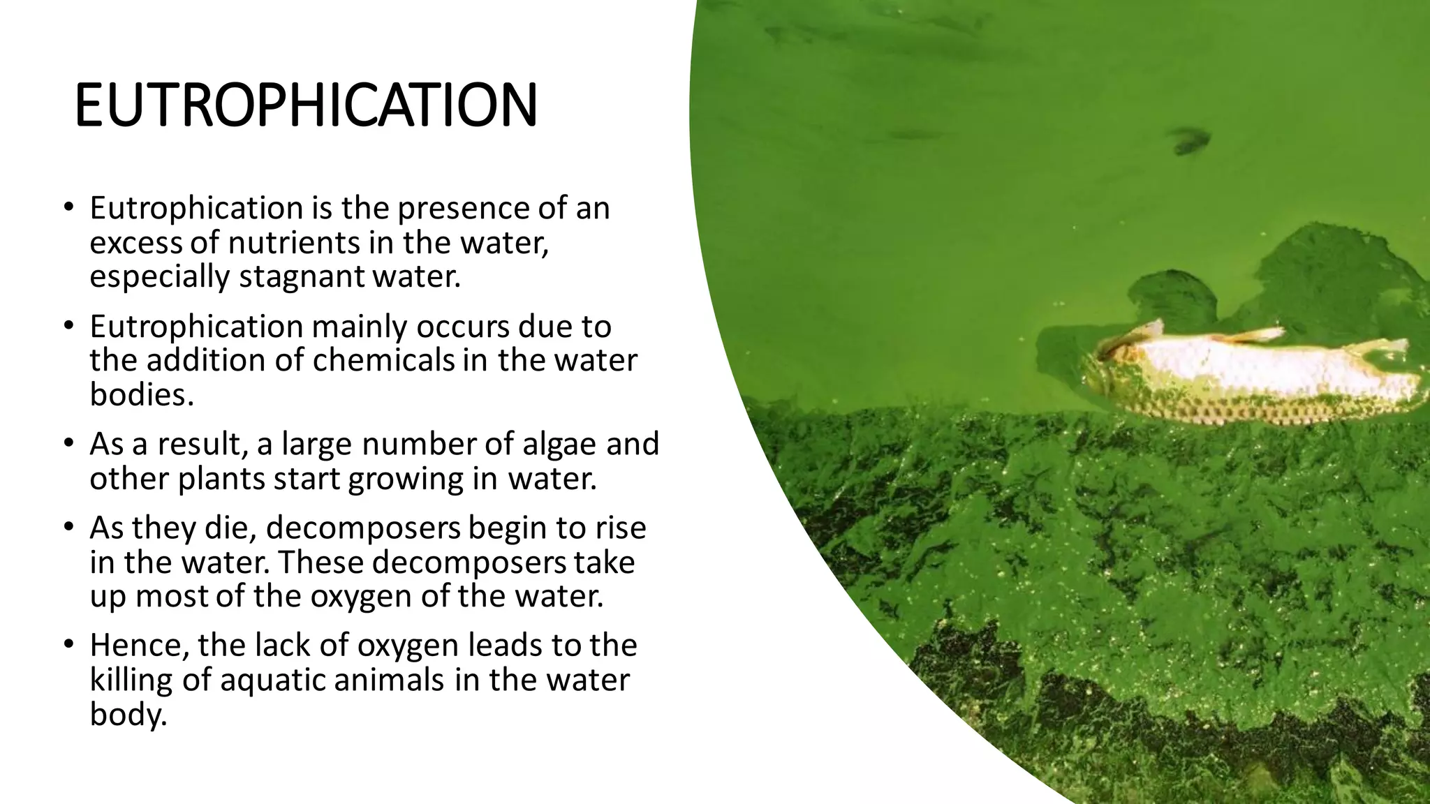 Chapter - 18, Pollution of Air and Water, Science, Class 8 | PDF
