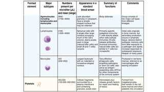 Comprehensive Overview of Blood: Anatomy, Physiology, and Disorders | PPTX