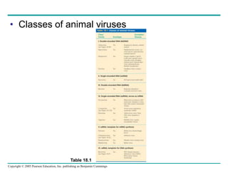 Copyright © 2005 Pearson Education, Inc. publishing as Benjamin Cummings
• Classes of animal viruses
Table 18.1
 