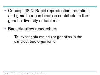 Copyright © 2005 Pearson Education, Inc. publishing as Benjamin Cummings
• Concept 18.3: Rapid reproduction, mutation,
and genetic recombination contribute to the
genetic diversity of bacteria
• Bacteria allow researchers
– To investigate molecular genetics in the
simplest true organisms
 