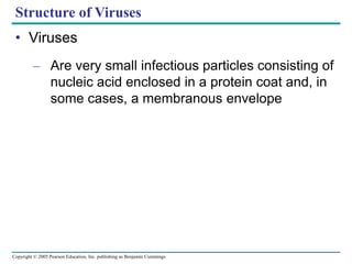 Copyright © 2005 Pearson Education, Inc. publishing as Benjamin Cummings
Structure of Viruses
• Viruses
– Are very small infectious particles consisting of
nucleic acid enclosed in a protein coat and, in
some cases, a membranous envelope
 