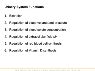 CHAPTER 18 (Urinary System and Fluid Balance).pptx