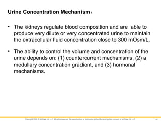 CHAPTER 18 (Urinary System and Fluid Balance).pptx