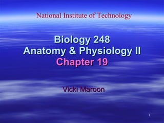 Biology 248 Anatomy & Physiology II Chapter 19 Vicki Maroon National Institute of Technology 