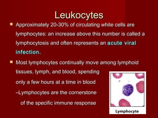 LeukocytesLeukocytes
 Approximately 20-30% of circulating white cells areApproximately 20-30% of circulating white cells are
lymphocytes: an increase above this number is called alymphocytes: an increase above this number is called a
lymphocytosis and often represents anlymphocytosis and often represents an acute viralacute viral
infection.infection.
 Most lymphocytes continually move among lymphoidMost lymphocytes continually move among lymphoid
tissues, lymph, and blood, spendingtissues, lymph, and blood, spending
only a few hours at a time in bloodonly a few hours at a time in blood
–Lymphocytes are the cornerstoneLymphocytes are the cornerstone
of the specific immune responseof the specific immune response
 