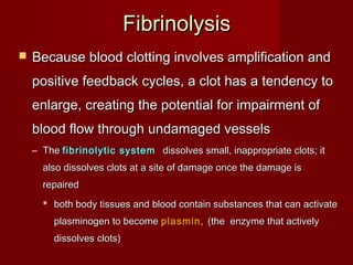 FibrinolysisFibrinolysis
 Because blood clotting involves amplification andBecause blood clotting involves amplification and
positive feedback cycles, a clot has a tendency topositive feedback cycles, a clot has a tendency to
enlarge, creating the potential for impairment ofenlarge, creating the potential for impairment of
blood flow through undamaged vesselsblood flow through undamaged vessels
– TheThe fibrinolytic systemfibrinolytic system dissolves small, inappropriate clots; itdissolves small, inappropriate clots; it
also dissolves clots at a site of damage once the damage isalso dissolves clots at a site of damage once the damage is
repairedrepaired
 both body tissues and blood contain substances that can activateboth body tissues and blood contain substances that can activate
plasminogen to becomeplasminogen to become plasmin,plasmin, (the enzyme that actively(the enzyme that actively
dissolves clots)dissolves clots)
 