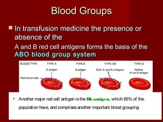  In transfusion medicine the presence orIn transfusion medicine the presence or
absence of theabsence of the
A and B red cell antigens forms the basis of theA and B red cell antigens forms the basis of the
ABO blood group systemABO blood group system
Blood GroupsBlood Groups
 Another major red cell antigen istheRh antigen, which 85% of the
population have, and comprisesanother important blood grouping
 