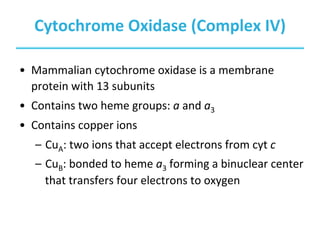 Chapter 19 - Oxidative Phosphorylation and Photophosphorylation- Biochemistry