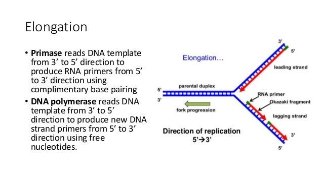 统考生物 chapter 19 heredity and variation