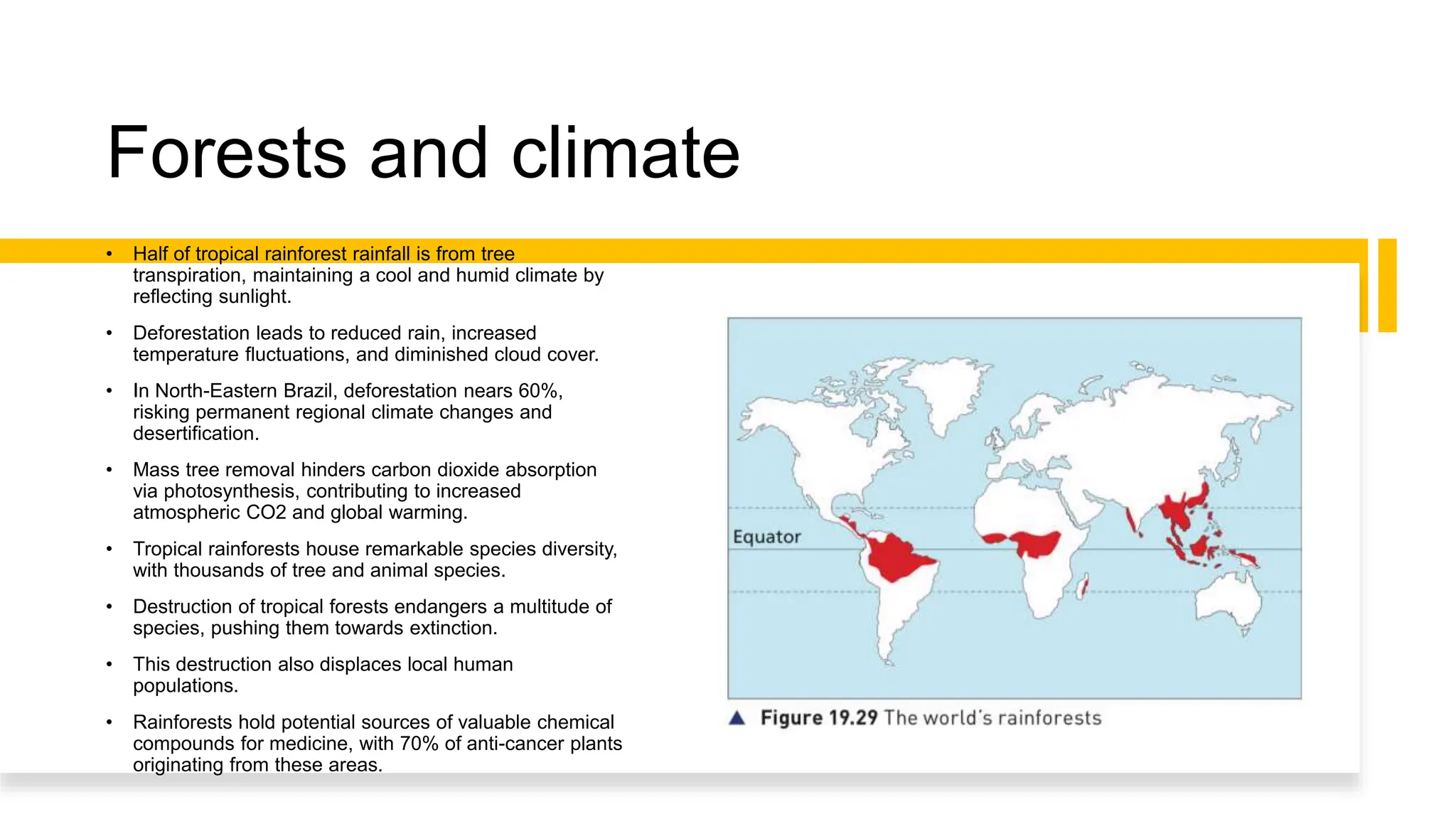Forests and climate
• Half of tropical rainforest rainfall is from tree
transpiration, maintaining a cool and humid climate by
reflecting sunlight.
• Deforestation leads to reduced rain, increased
temperature fluctuations, and diminished cloud cover.
• In North-Eastern Brazil, deforestation nears 60%,
risking permanent regional climate changes and
desertification.
• Mass tree removal hinders carbon dioxide absorption
via photosynthesis, contributing to increased
atmospheric CO2 and global warming.
• Tropical rainforests house remarkable species diversity,
with thousands of tree and animal species.
• Destruction of tropical forests endangers a multitude of
species, pushing them towards extinction.
• This destruction also displaces local human
populations.
• Rainforests hold potential sources of valuable chemical
compounds for medicine, with 70% of anti-cancer plants
originating from these areas.
 