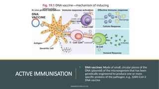 Dna Immunization Comprehensive Guide to Immunoprophylaxis and Vaccines: Types ...