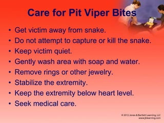 Care for Pit Viper Bites
• Get victim away from snake.
• Do not attempt to capture or kill the snake.
• Keep victim quiet.
• Gently wash area with soap and water.
• Remove rings or other jewelry.
• Stabilize the extremity.
• Keep the extremity below heart level.
• Seek medical care.
 