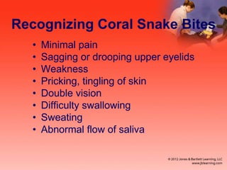 Recognizing Coral Snake Bites
• Minimal pain
• Sagging or drooping upper eyelids
• Weakness
• Pricking, tingling of skin
• Double vision
• Difficulty swallowing
• Sweating
• Abnormal flow of saliva
 