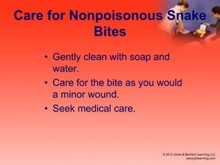 Care for Nonpoisonous Snake
Bites
• Gently clean with soap and
water.
• Care for the bite as you would
a minor wound.
• Seek medical care.
 